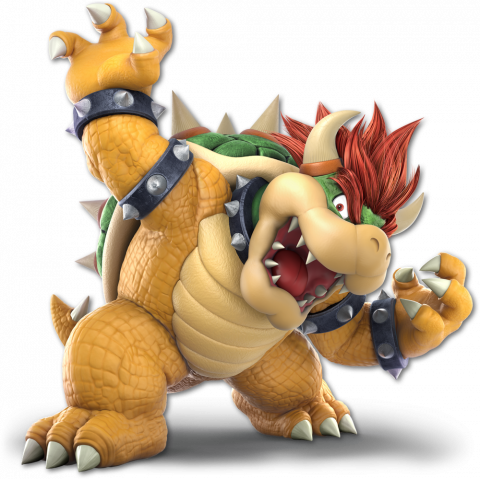 image de Bowser