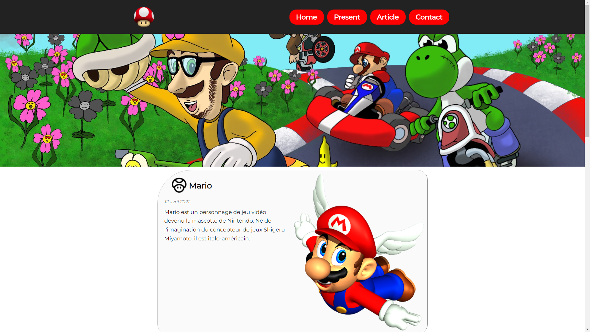 projet_mario